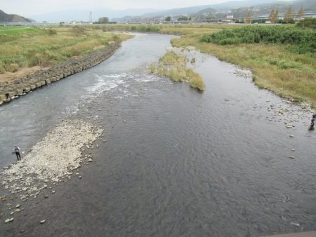 狩野川(狩野川漁業協同組合) 釣果