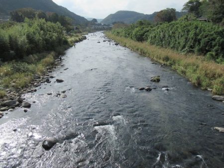 狩野川(狩野川漁業協同組合) 釣果