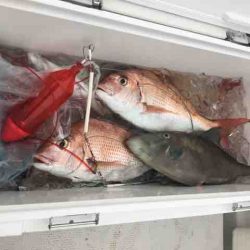 龍宮丸 釣果