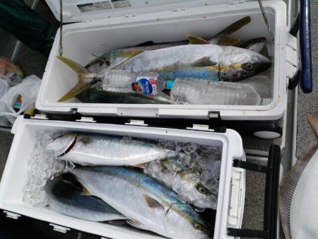 第二大福丸 釣果