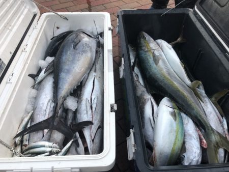 幸風（さちかぜ） 釣果