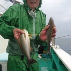 第二むつ漁丸 釣果