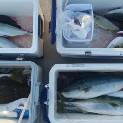 気仙沼 つり丸 釣果