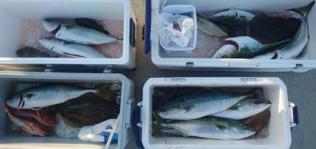 気仙沼　つり丸 釣果