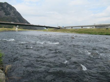 狩野川(狩野川漁業協同組合) 釣果