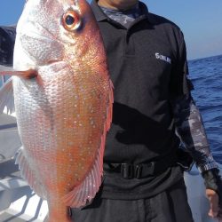 遊漁船 新鋭丸 釣果