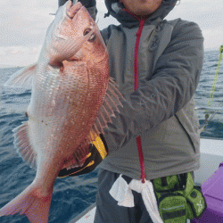 遊漁船ブルーウッズ 釣果