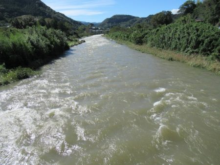 狩野川(狩野川漁業協同組合) 釣果