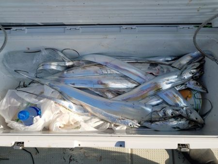 遊漁船 ニライカナイ 釣果