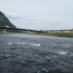 狩野川（狩野川漁業協同組合） 釣果
