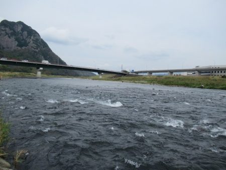 狩野川（狩野川漁業協同組合） 釣果