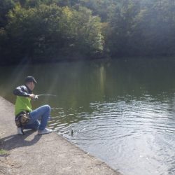 フィッシングレイクたかみや 釣果