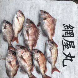 網屋丸 釣果
