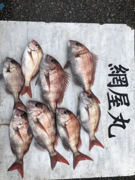 網屋丸 釣果
