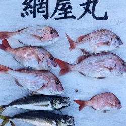 網屋丸 釣果