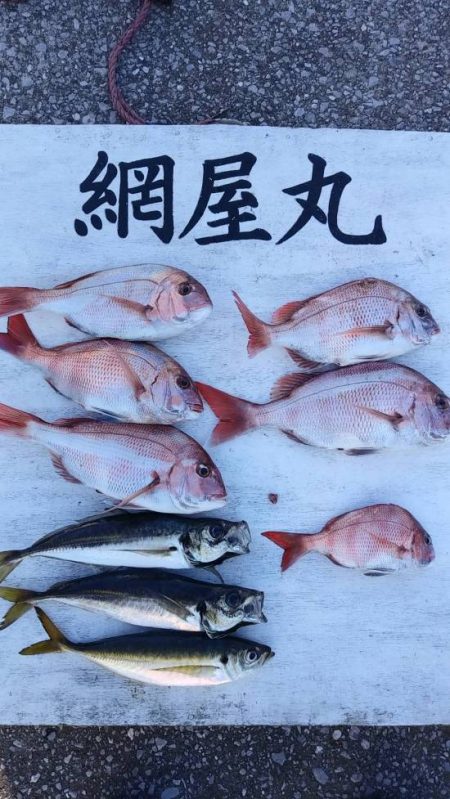 網屋丸 釣果