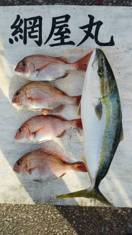 網屋丸 釣果