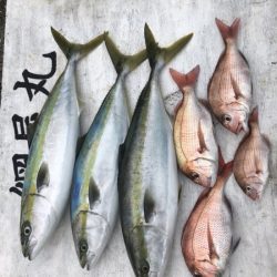 網屋丸 釣果