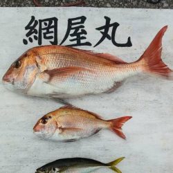 網屋丸 釣果