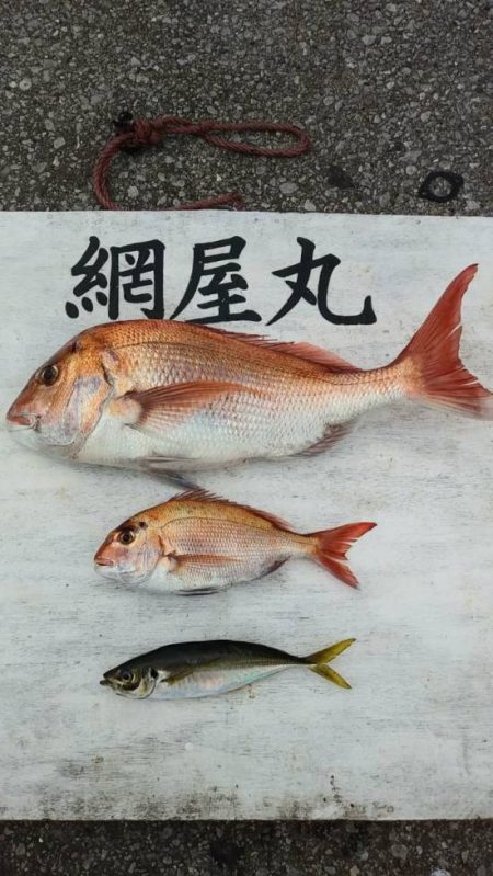 網屋丸 釣果