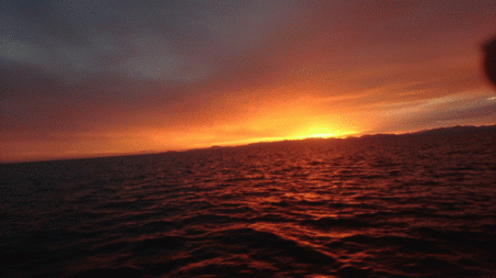 遊漁船ブルーウッズ 釣果