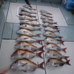 遊漁船 幸友丸 釣果