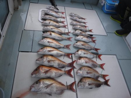 遊漁船 幸友丸 釣果