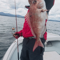 遊漁船ブルーウッズ 釣果