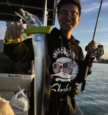 シーマジカル 釣果