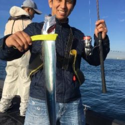 シーマジカル 釣果