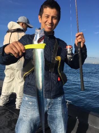 シーマジカル 釣果