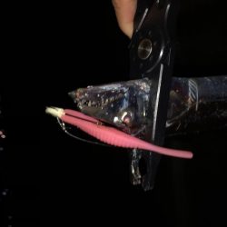 明石ワインド13