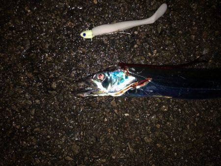 明石ワインド14