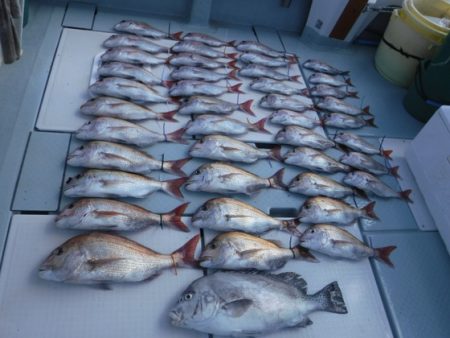 遊漁船 幸友丸 釣果