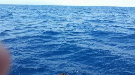 第五慶門丸 釣果