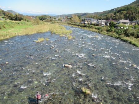 狩野川(狩野川漁業協同組合) 釣果