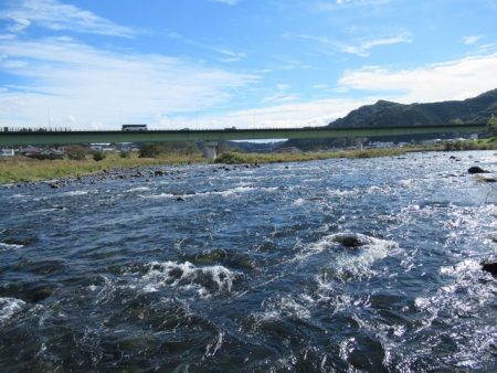 狩野川（狩野川漁業協同組合） 釣果