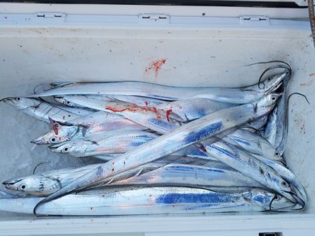 遊漁船 ニライカナイ 釣果