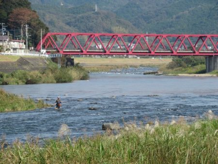 狩野川（狩野川漁業協同組合） 釣果