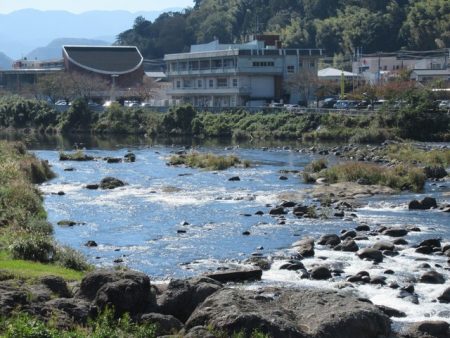 狩野川(狩野川漁業協同組合) 釣果