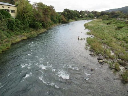 狩野川(狩野川漁業協同組合) 釣果