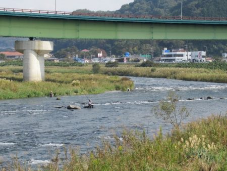 狩野川(狩野川漁業協同組合) 釣果