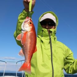 へいみつ丸 釣果