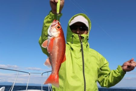へいみつ丸 釣果