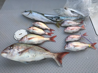 ミタチ丸 釣果