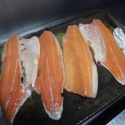 高萩ふれあいの里フィッシングエリア 釣果