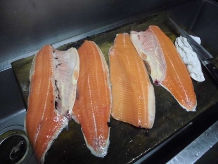 高萩ふれあいの里フィッシングエリア 釣果