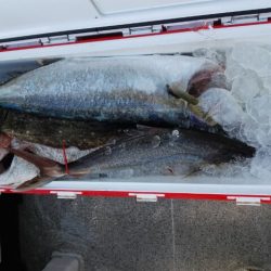 第二大福丸 釣果