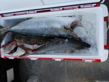 第二大福丸 釣果