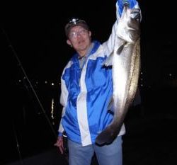 シーマジカル 釣果